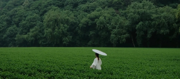 Trà Long Tỉnh Hàng Châu