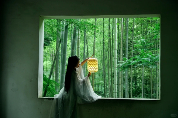 Check in đường tre Vân Khê, Tây Hồ, Hàng Châu