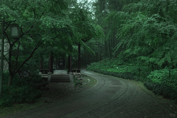 tour Hàng Châu mùa hè