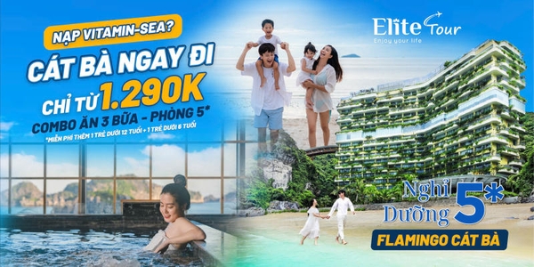 Combo du lịch giá rẻ