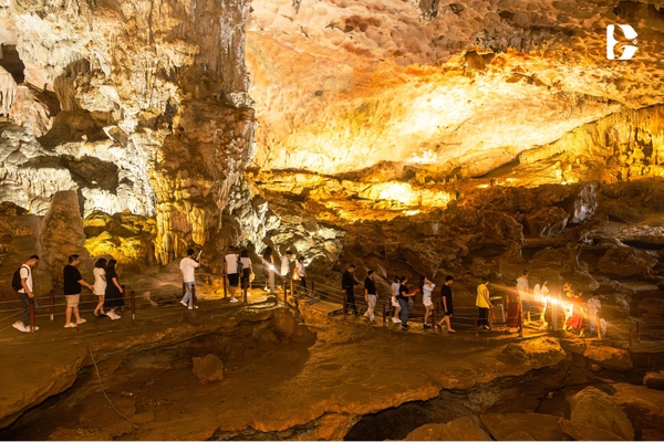 lịch trình tham quan vịnh du thuyền Dolphin