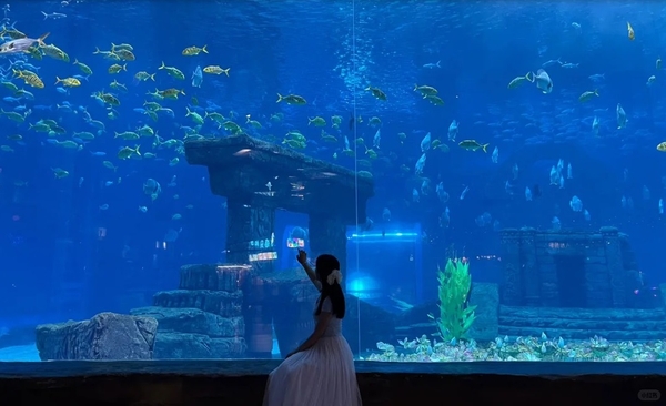 Công viên đại dương Hậu Hải Điền Trì