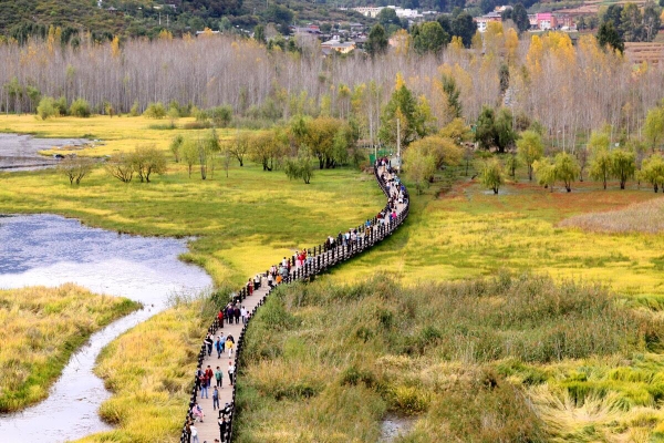 cầu Hôn hồ Lugu