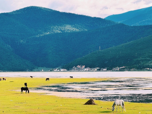 Hồ Napa 1