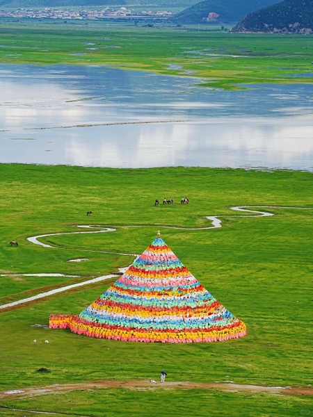 đồng cỏ Yila