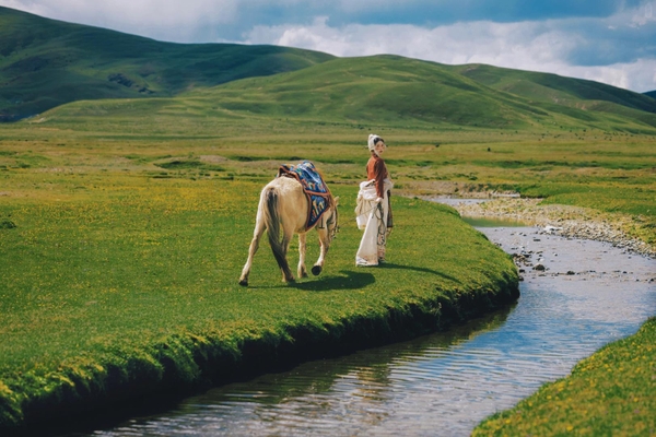 cảnh đẹp Shangrila