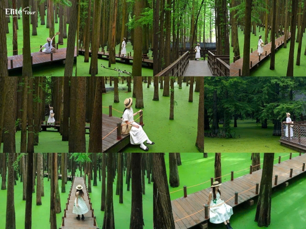 chụp ảnh hồ matcha thế nào cho đẹp