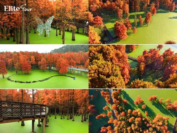 hồ matcha Thanh Sơn cách Hàng Châu bao xa?