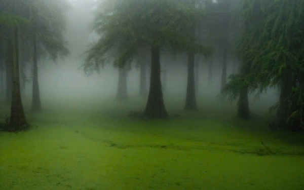 hồ Thanh Sơn sáng sớm