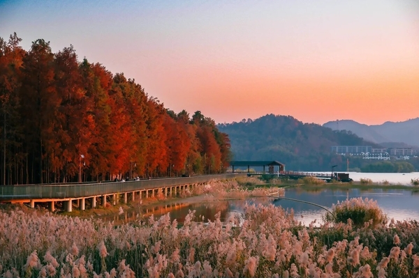 cảnh mùa thu hồ Thanh Sơn