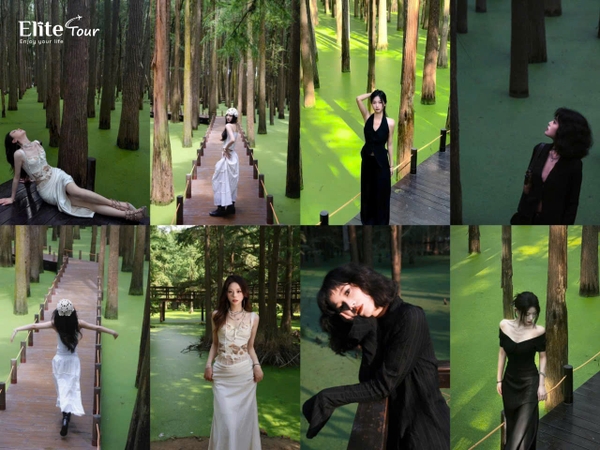 khám phá hồ matcha Thanh Sơn Hàng Châu