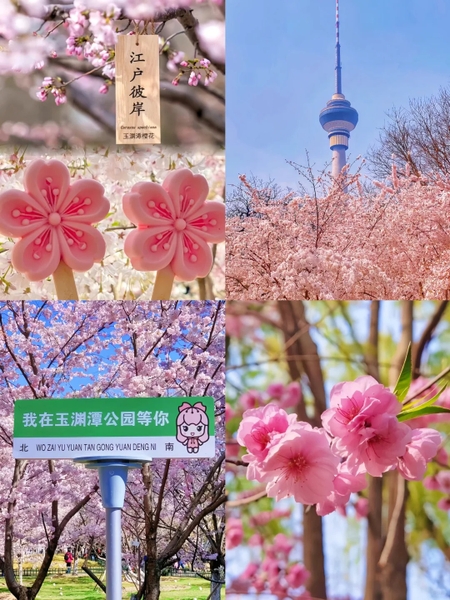 Công viên Ngọc Uyên Đàm Bắc Kinh