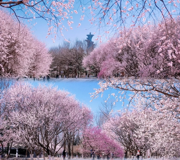 Công viên Olympic Bắc Kinh