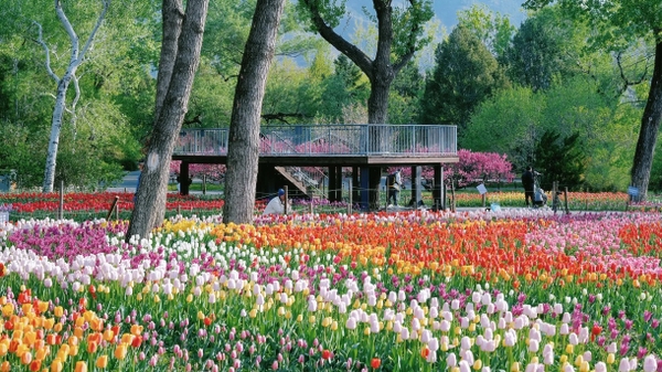 Vườn Bách Thảo Bắc Kinh mùa xuân