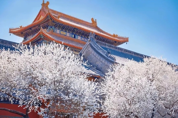 tour tham quan Bắc Kinh mùa xuân