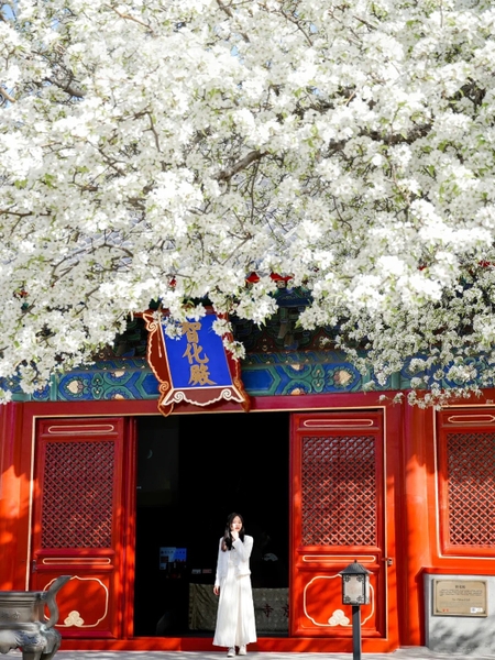 Cố Cung mùa xuân