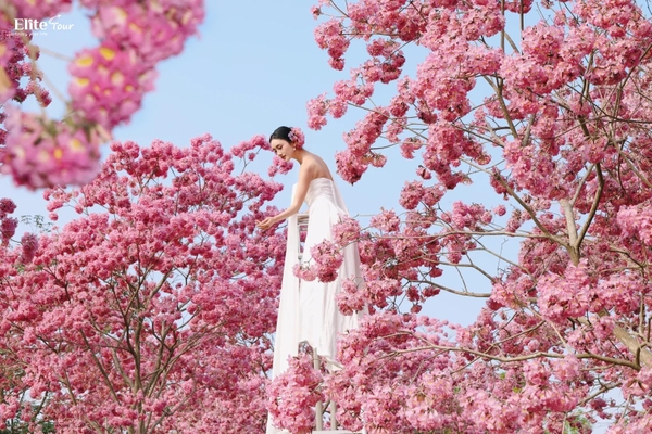 cảnh quan Nam Ninh