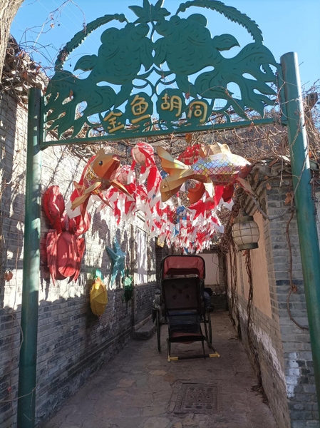 Kim Ngư hutong