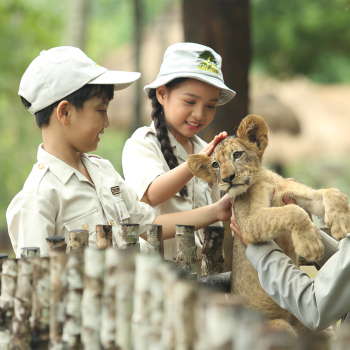 Vinpearl Safari Phú Quốc - Vườn Thú Bán Hoang Dã Trên Đảo Ngọc 10