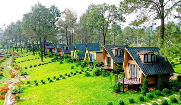 Du lịch Mộc Châu mùa nào đẹp? Kinh nghiệm du lịch Mộc Châu từ A - Z 18