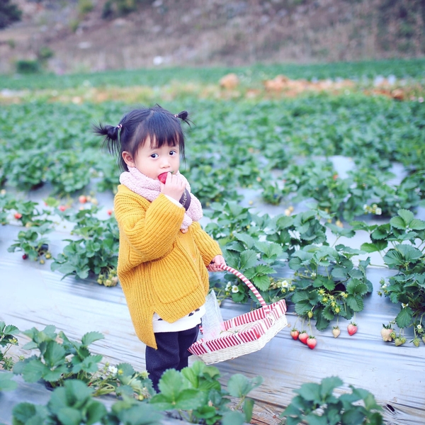 Du lịch Mộc Châu mùa nào đẹp? Kinh nghiệm du lịch Mộc Châu từ A - Z 18