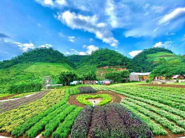 Du lịch Mộc Châu mùa nào đẹp? Kinh nghiệm du lịch Mộc Châu từ A - Z 22