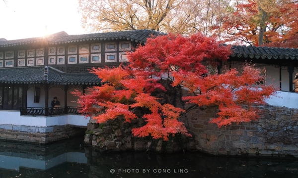 Chuyết Chính Viên ở đâu