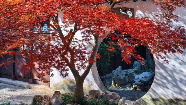 Vẻ đẹp của Tô Châu