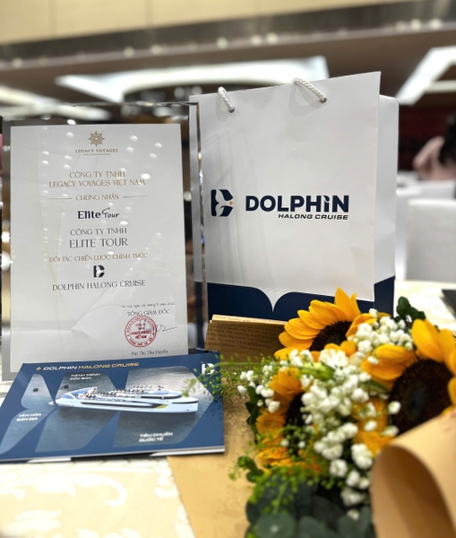 voucher Dolphine Halong Cruise giá rẻ