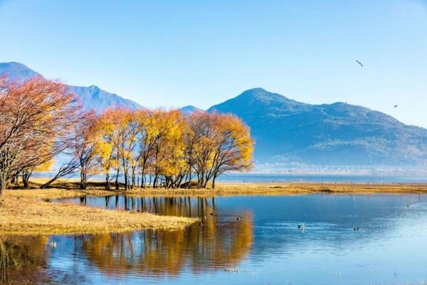 La Thị Hải Lệ Giang