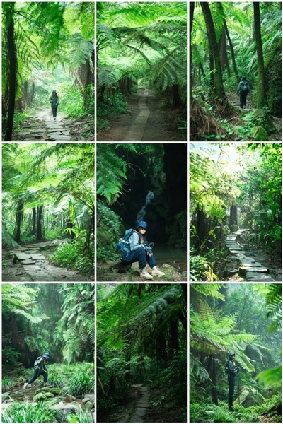 Khu thắng cảnh hồ Alsophila Trung Quốc