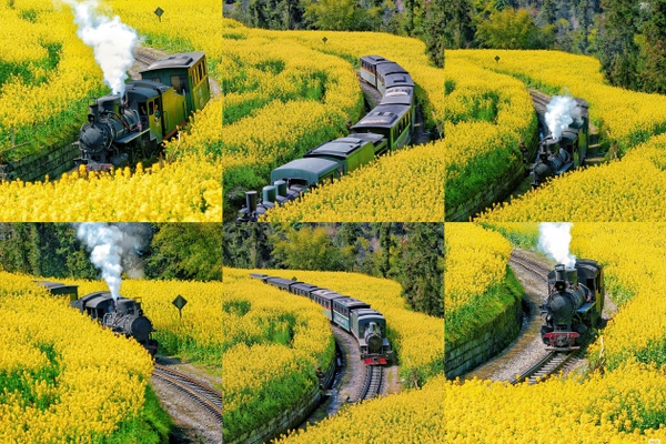 Tàu hơi nước Gia Dương, Lạc Sơn