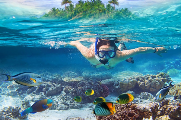 Tour bốn đảo Phú Quốc có gì đặc sắc? 16