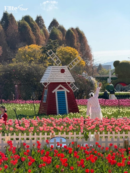 Mùa xuân công viên Lao Ngư Hà