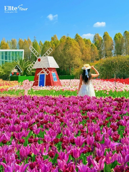 Mặc gì check in công viên Lao Ngư Hà đẹp?