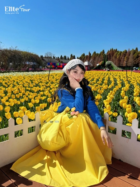 Biển hoa công viên Quốc gia Lao Ngư Hà Côn Minh