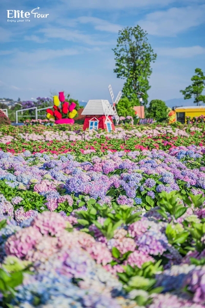 Mùa hè công viên Lao Ngư Hà