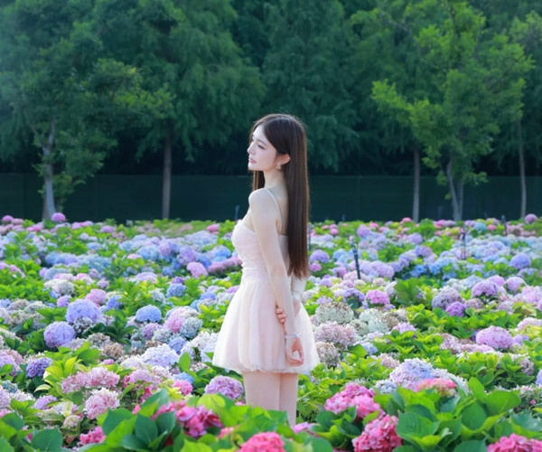 Lao Ngư Hà có gì chơi