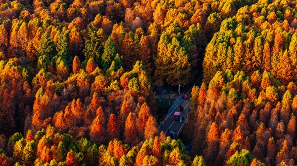 Cảnh quan công viên Lao Ngư Hà