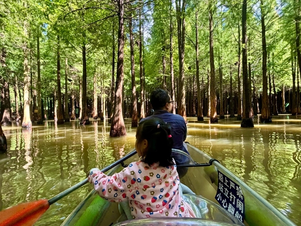Chèo thuyền rừng ngập nước Lao Ngư Hà