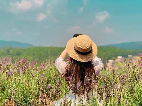 Đà Lạt đẹp bốn mùa hoa 15