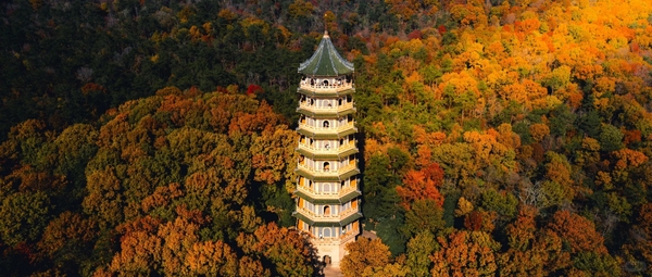 Linh Cốc Tự Nam Kinh