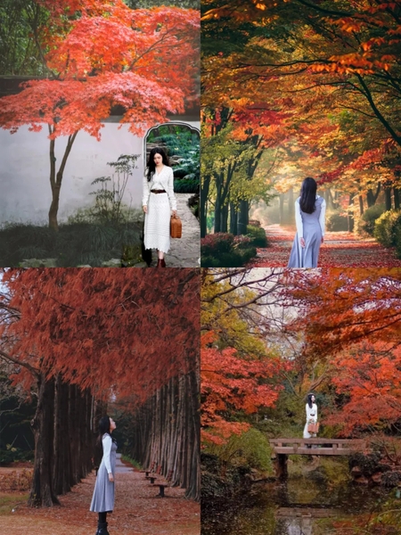 công viên nào ở Thượng Hải đẹp