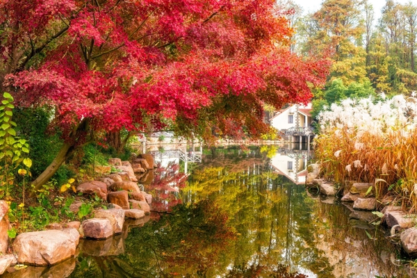 mùa thu Thượng Hải có gì