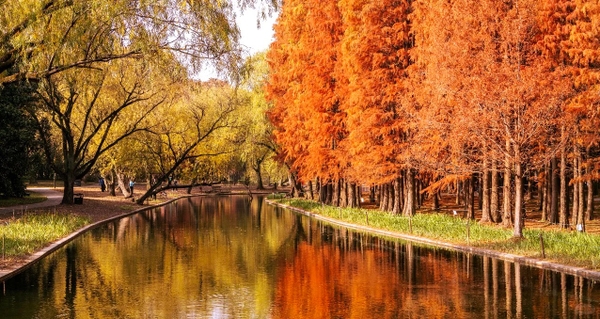 cảnh sắc mùa thu Thượng Hải