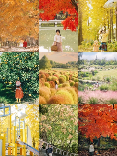 check in mùa thu Thượng Hải