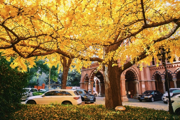 Thời tiết mùa thu Thượng Hải