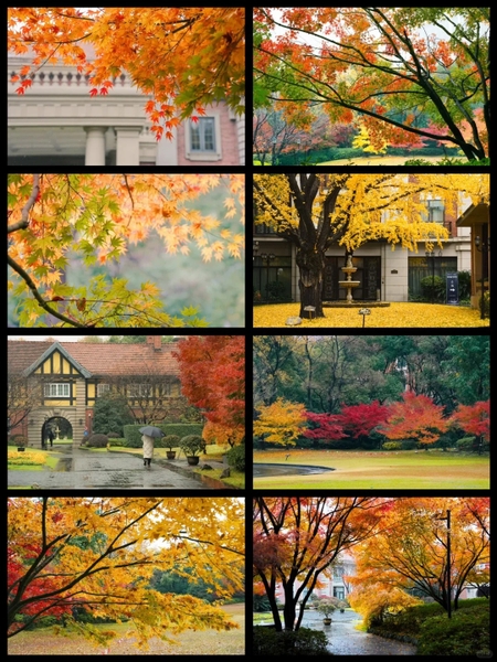 Thượng Hải mùa thu có rét không