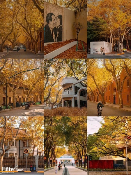 Thượng Hải Citywalk mùa thu