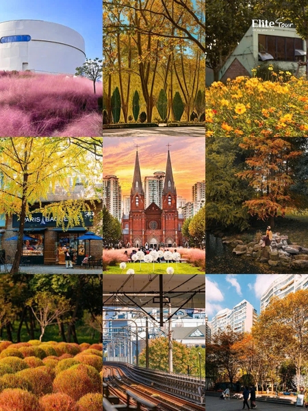 check in Thượng Hải mùa thu